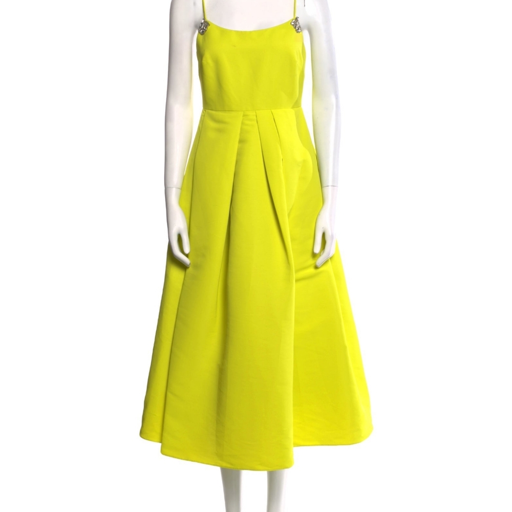 Sachin and Babi Midi Dress. This Dress was worn once